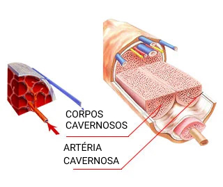 explicação